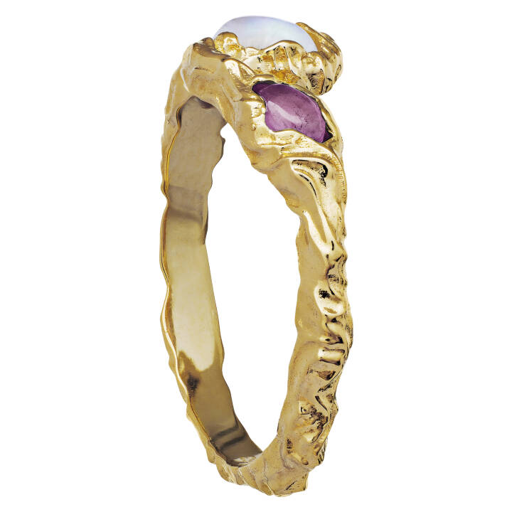 Baila Ring (Gold) in der Gruppe Ringe / Goldringe bei SCANDINAVIAN JEWELRY DESIGN (4764a)
