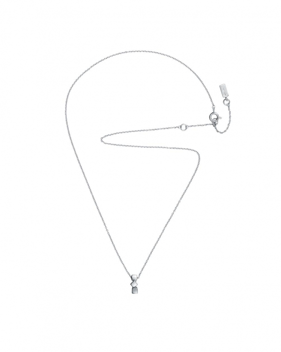 Dice necklace Silver in der Gruppe Efva Attling Back Week / Efva Attling Black Week - 20% bei SCANDINAVIAN JEWELRY DESIGN (10-100-02213-4045)