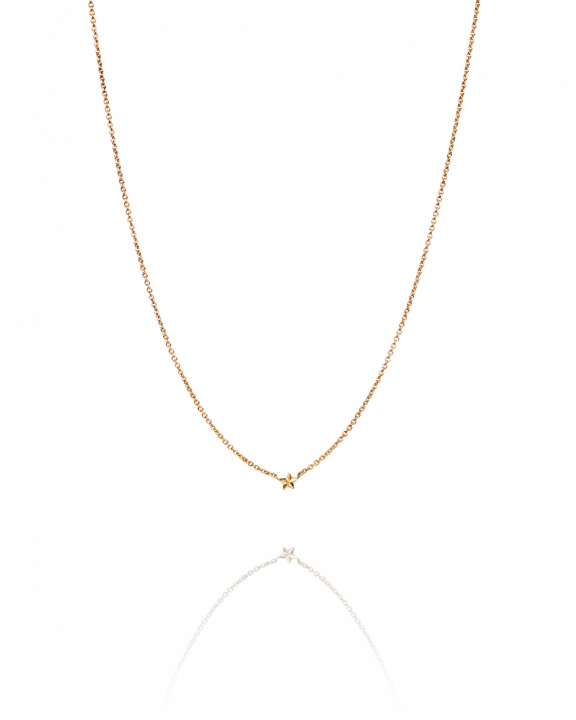 Micro catch a falling star Necklace Gold in der Gruppe Halsketten / Goldhalsketten bei SCANDINAVIAN JEWELRY DESIGN (10-101-02262-4045)
