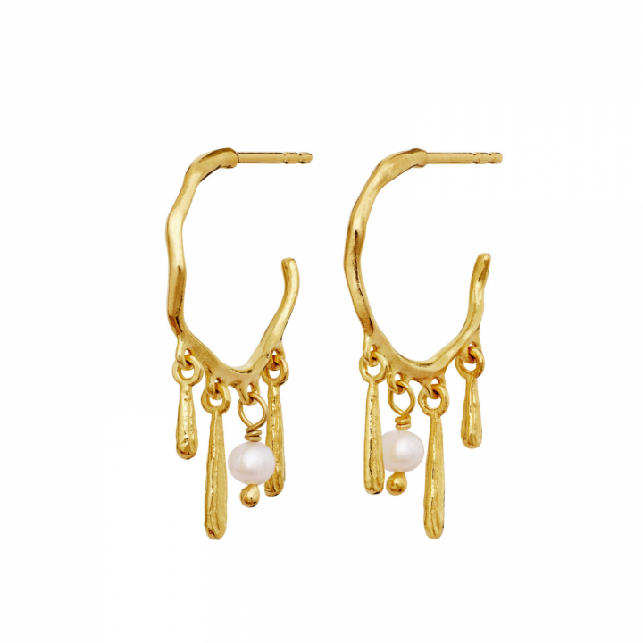 Fricka Earrings Gold in der Gruppe Ohrringe / Perlenohrringe bei SCANDINAVIAN JEWELRY DESIGN (10032A)