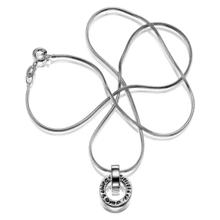 Product Image for Efva Attling Ring Around - Amor Vincit Omnia Hängeschmuck Silber 45 cm