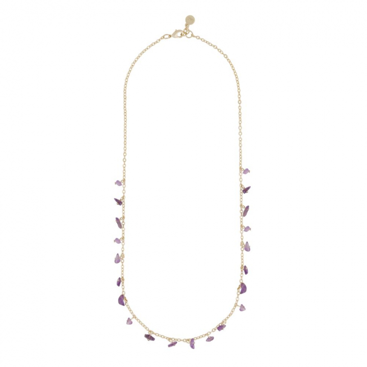 Capri stone charm neck gold purple 45 cm in der Gruppe Halsketten / Goldhalsketten bei SCANDINAVIAN JEWELRY DESIGN (1274-0245-356-45)