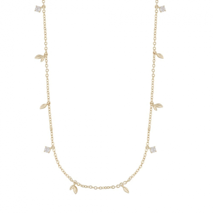 Meya charm neck 45 in der Gruppe Halsketten / Goldhalsketten bei SCANDINAVIAN JEWELRY DESIGN (1293-0245-251-45)