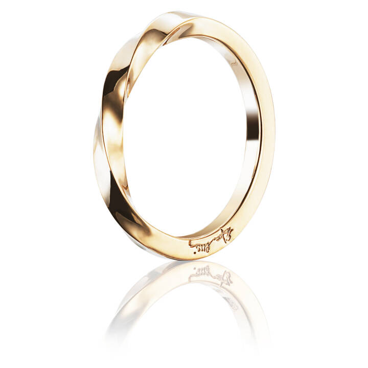 Viking Plain Ring Gold in der Gruppe Ringe / Goldringe bei SCANDINAVIAN JEWELRY DESIGN (13-101-00978)