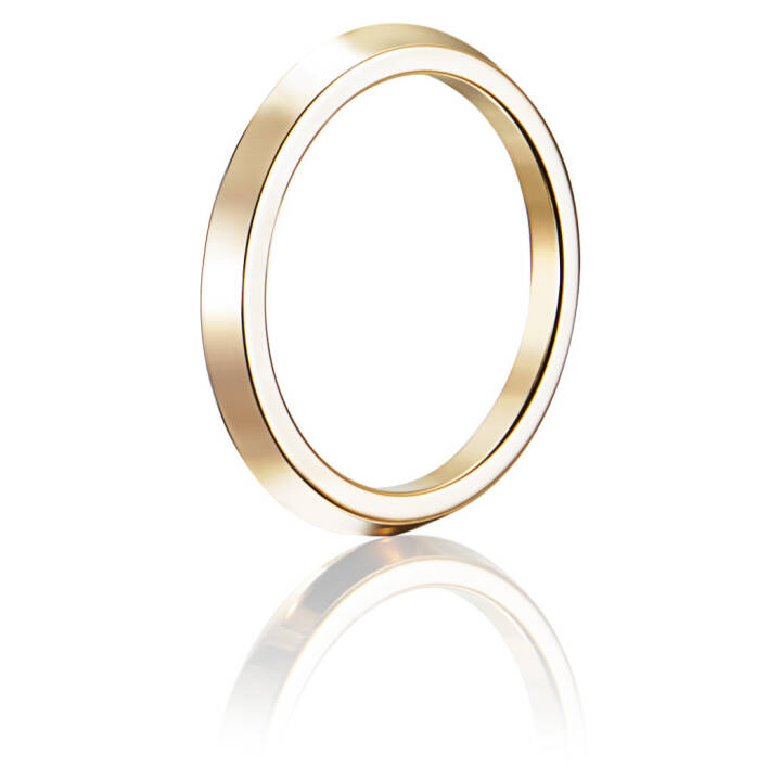 Paramour Thin Ring Gold in der Gruppe Ringe / Verlobungs- & Eheringe bei SCANDINAVIAN JEWELRY DESIGN (13-101-01129)