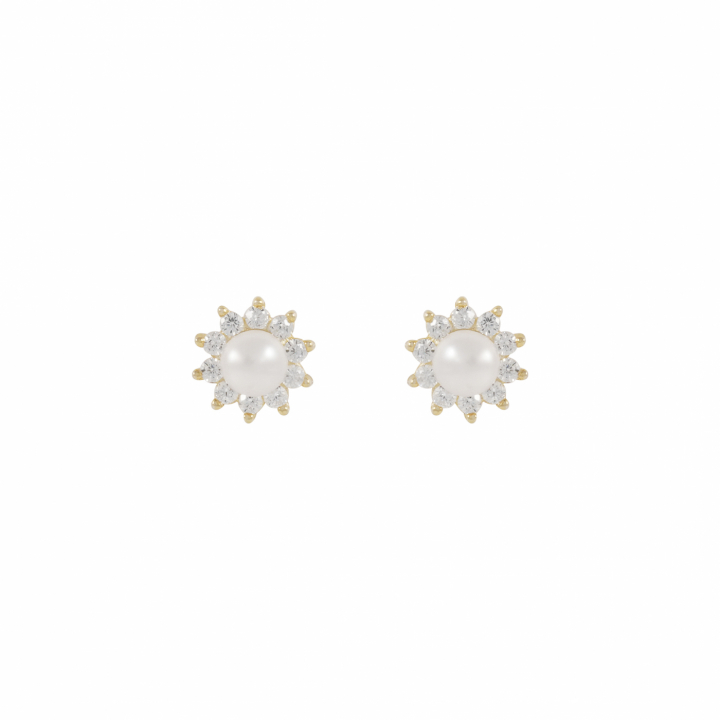 Line pearl Earrings Gold in der Gruppe Ohrringe / Perlenohrringe bei SCANDINAVIAN JEWELRY DESIGN (1360-6600-362)