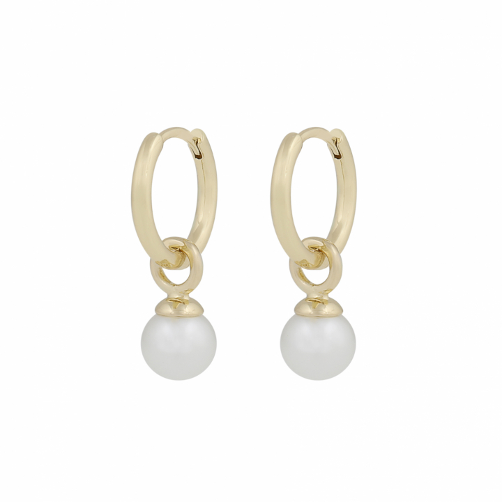 Karan small pendant ring Earrings Gold in der Gruppe Ohrringe / Perlenohrringe bei SCANDINAVIAN JEWELRY DESIGN (1399-6100-362)