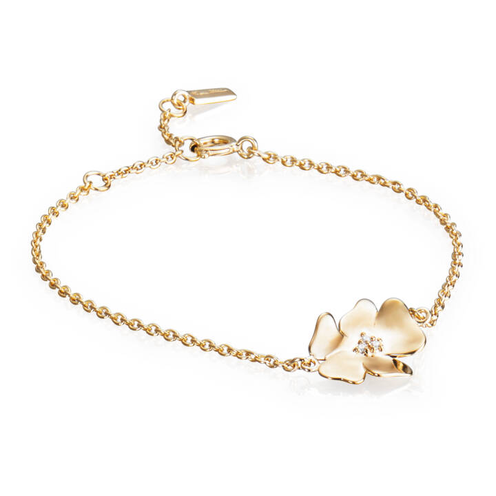 Violet & Stars Armbänder Gold in der Gruppe Armbänder / Diamantarmbänder bei SCANDINAVIAN JEWELRY DESIGN (14-101-01445-0000)