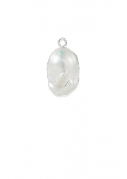 Product Image for Efva Attling Nature's Uniqe Charm (1) Berlock Silber