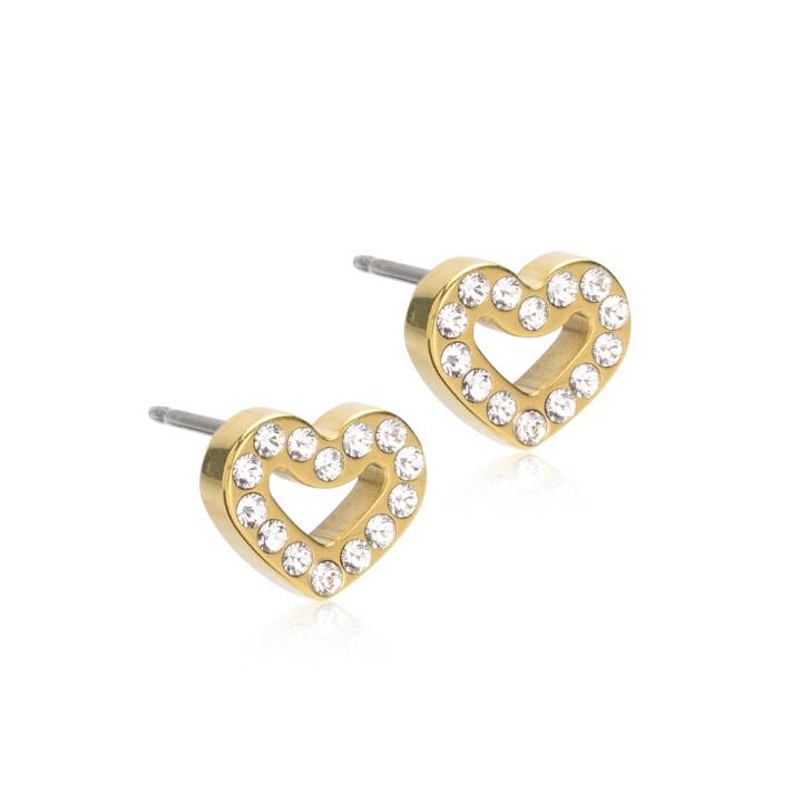 GT Brilliance Heart Hollow 8 mm, Crystal in der Gruppe Ohrringe bei SCANDINAVIAN JEWELRY DESIGN (15-13121-01)
