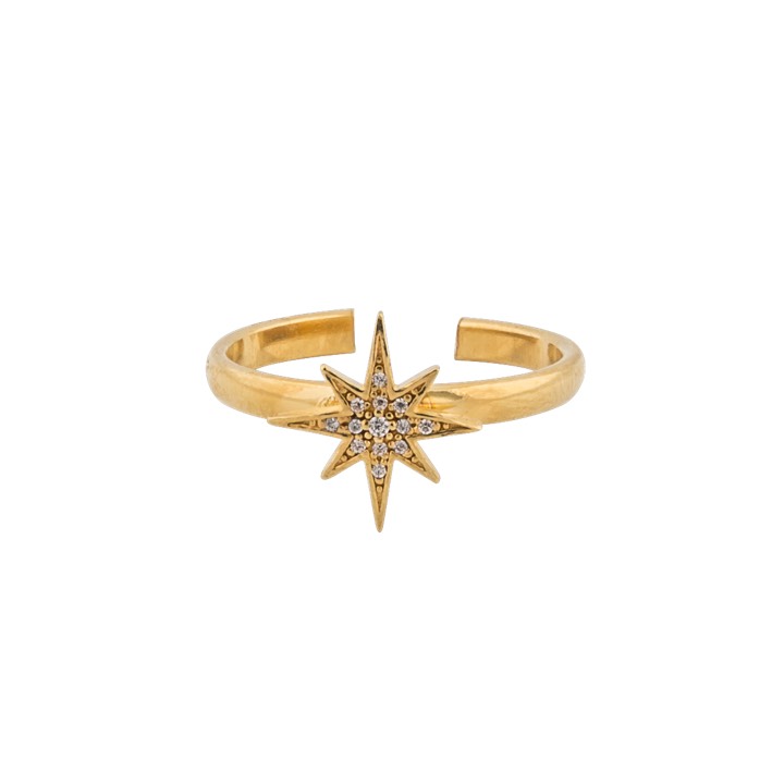 One star ring Gold in der Gruppe Ringe / Goldringe bei SCANDINAVIAN JEWELRY DESIGN (1631521001)