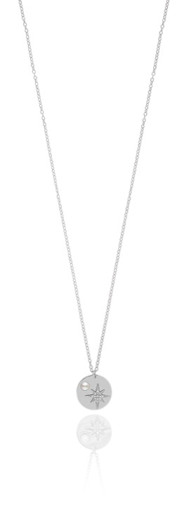 One coin Halsketten Silber 50-60 cm in der Gruppe Halsketten / Silberhalsketten bei SCANDINAVIAN JEWELRY DESIGN (1632211001)