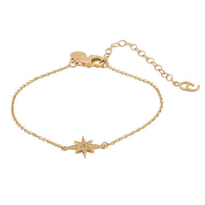 One star brace Armbänder Gold in der Gruppe Armbänder / Goldarmbänder bei SCANDINAVIAN JEWELRY DESIGN (1637321001)