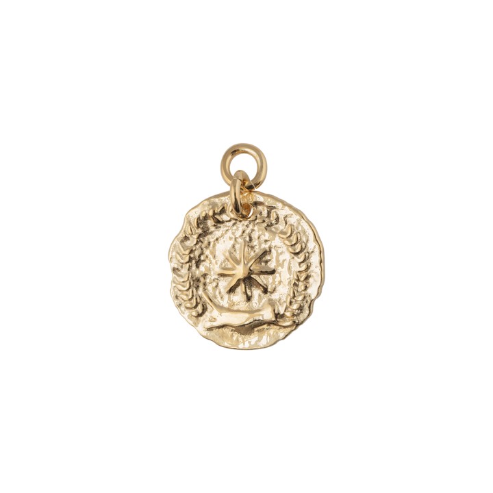 Victory coin pendant Gold in der Gruppe Halsketten / Goldhalsketten bei SCANDINAVIAN JEWELRY DESIGN (1923020001)
