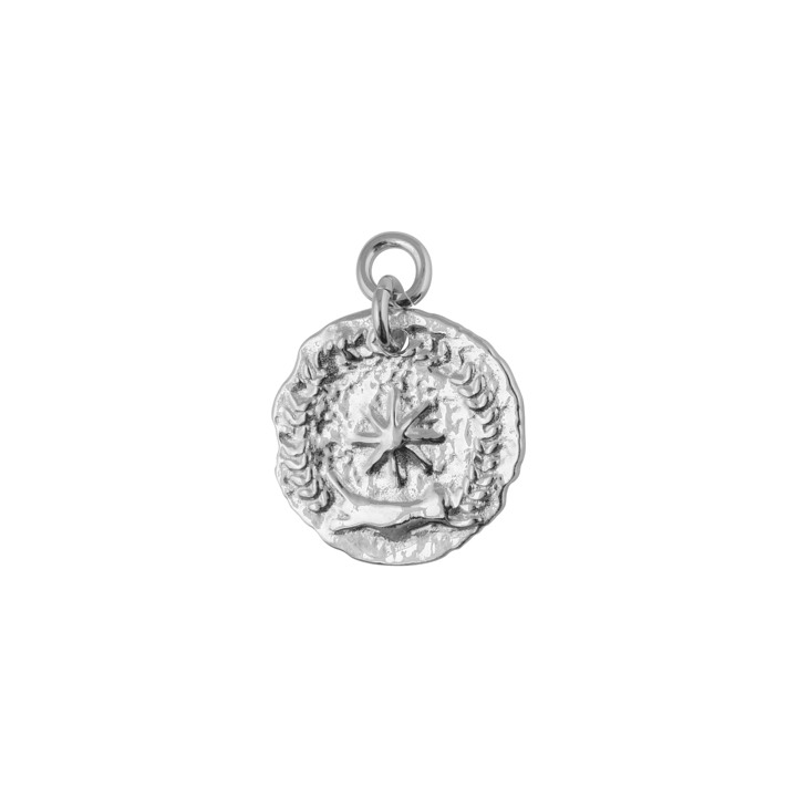 Victory coin pendant Silber in der Gruppe Halsketten / Silberhalsketten bei SCANDINAVIAN JEWELRY DESIGN (1923070001)