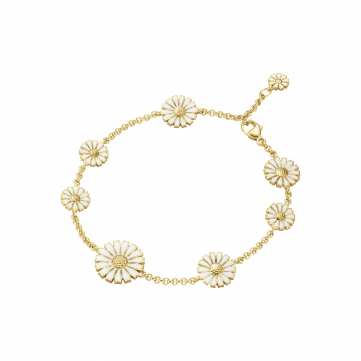 DAISY Bracelet Gold in der Gruppe Armbänder / Goldarmbänder bei SCANDINAVIAN JEWELRY DESIGN (20001668)