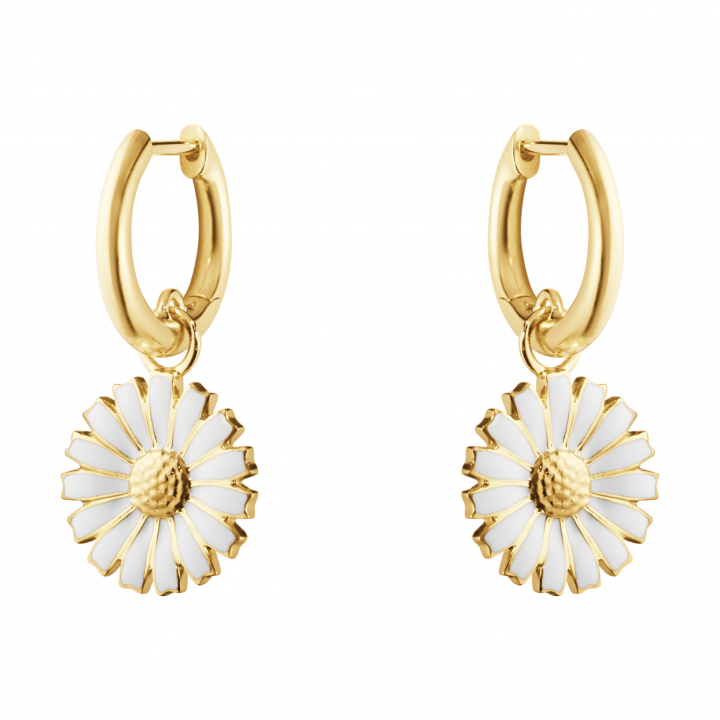 DAISY Earrings gold plated in der Gruppe Ohrringe / Goldohrringe bei SCANDINAVIAN JEWELRY DESIGN (20001671)