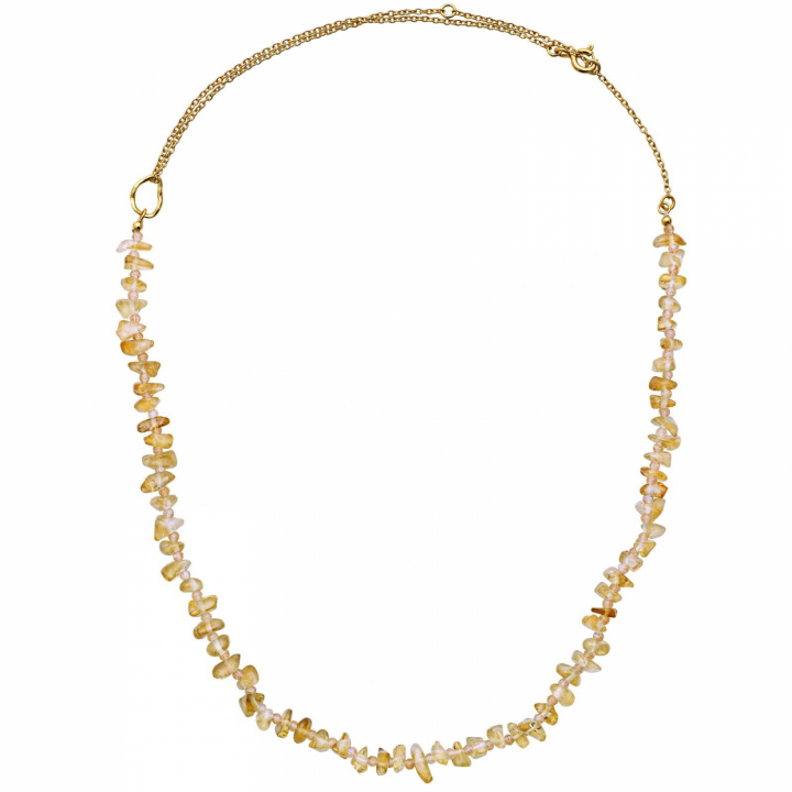 Riesme Citrine Halsketten Gold in der Gruppe Halsketten / Goldhalsketten bei SCANDINAVIAN JEWELRY DESIGN (2620a)