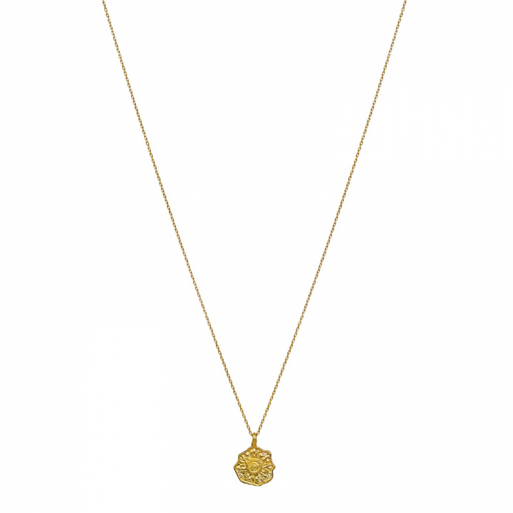 Kaisa Halsketten Gold in der Gruppe Halsketten / Goldhalsketten bei SCANDINAVIAN JEWELRY DESIGN (2621a)