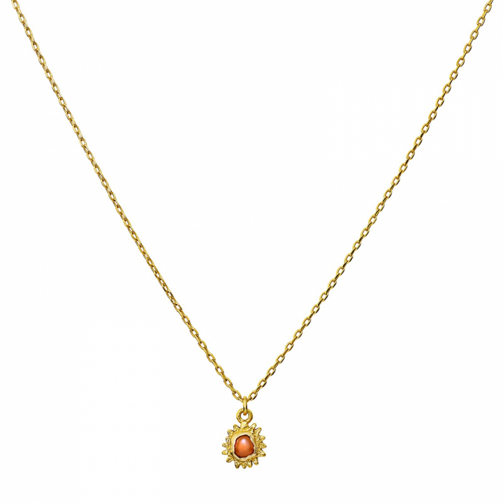 Hania Halsketten Gold in der Gruppe Halsketten / Goldhalsketten bei SCANDINAVIAN JEWELRY DESIGN (2622a)