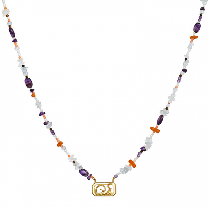Product Image for Maanesten Zodiac Water Scorpio Halsketten (Gold)
