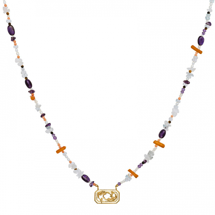 Zodiac Water Pisces Halsketten (Gold) in der Gruppe Halsketten / Goldhalsketten bei SCANDINAVIAN JEWELRY DESIGN (2624a)
