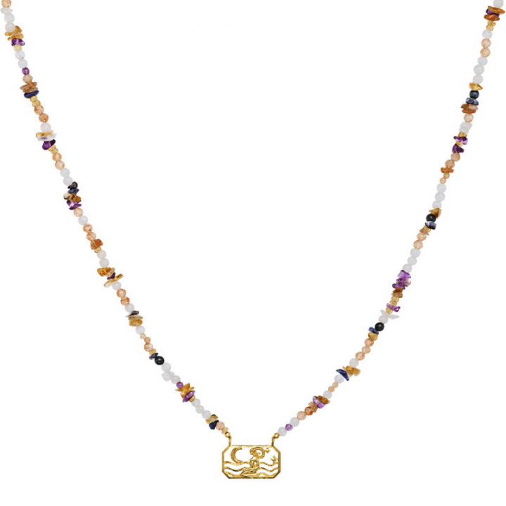 Zodiac Fire Aries Halsketten (Gold) in der Gruppe Halsketten / Goldhalsketten bei SCANDINAVIAN JEWELRY DESIGN (2626a)