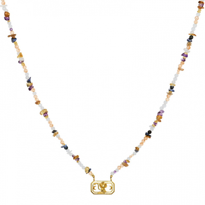 Zodiac Fire Leo Halsketten (Gold) in der Gruppe Halsketten / Goldhalsketten bei SCANDINAVIAN JEWELRY DESIGN (2627a)