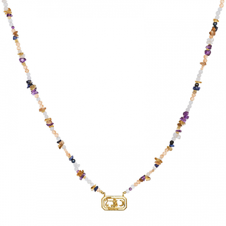 Zodiac Fire Sagittarius Halsketten (Gold) in der Gruppe Halsketten / Goldhalsketten bei SCANDINAVIAN JEWELRY DESIGN (2628a)