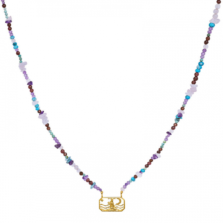 Product Image for Maanesten Zodiac Earth Capricorn Halsketten (Gold)