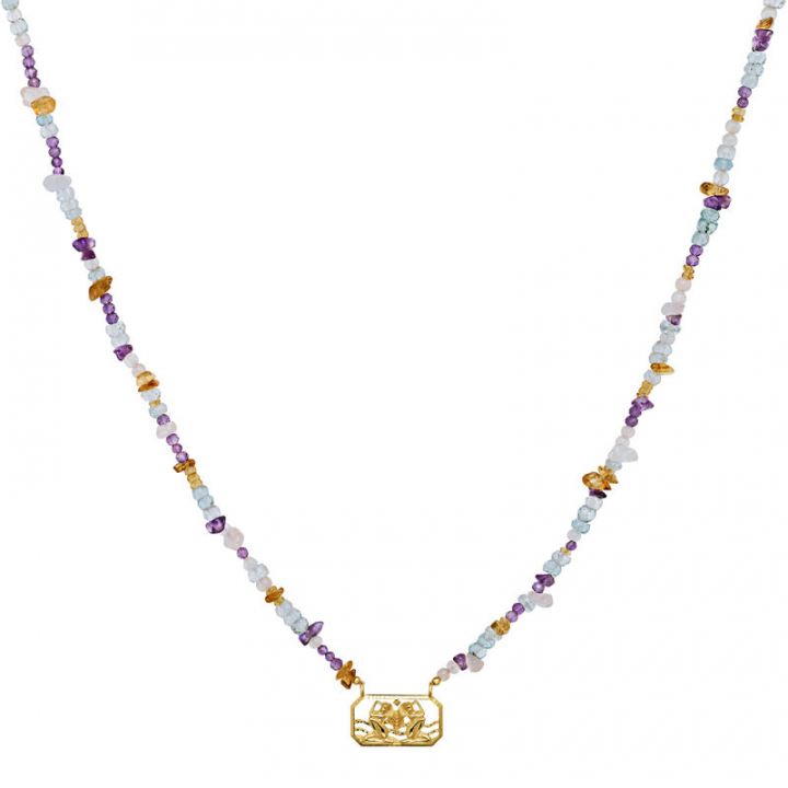 Zodiac Air Gemini Halsketten (Gold) in der Gruppe Halsketten / Goldhalsketten bei SCANDINAVIAN JEWELRY DESIGN (2633a)