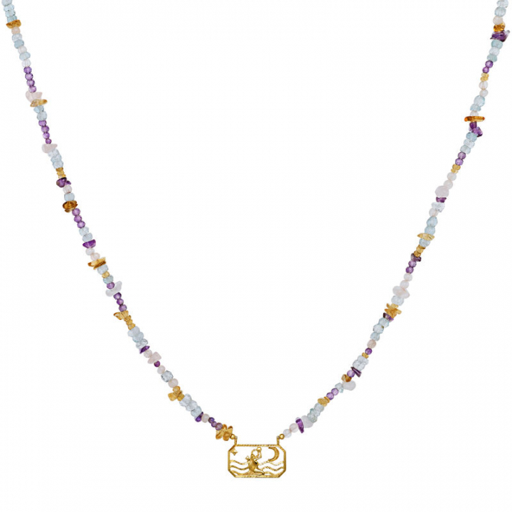 Zodiac Air Aquarius Halsketten (Gold) in der Gruppe Halsketten / Goldhalsketten bei SCANDINAVIAN JEWELRY DESIGN (2634a)
