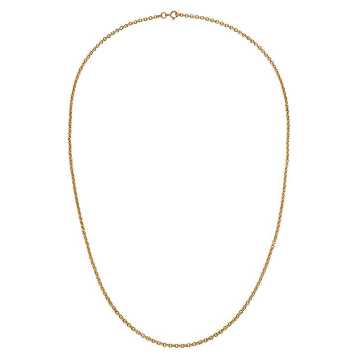 Charlie Grande Halsketten Gold in der Gruppe Halsketten / Goldhalsketten bei SCANDINAVIAN JEWELRY DESIGN (2642a)