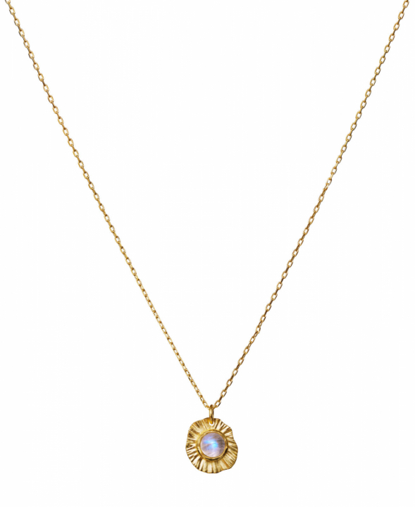 Astra Halsketten Gold in der Gruppe Halsketten / Goldhalsketten bei SCANDINAVIAN JEWELRY DESIGN (2652a)