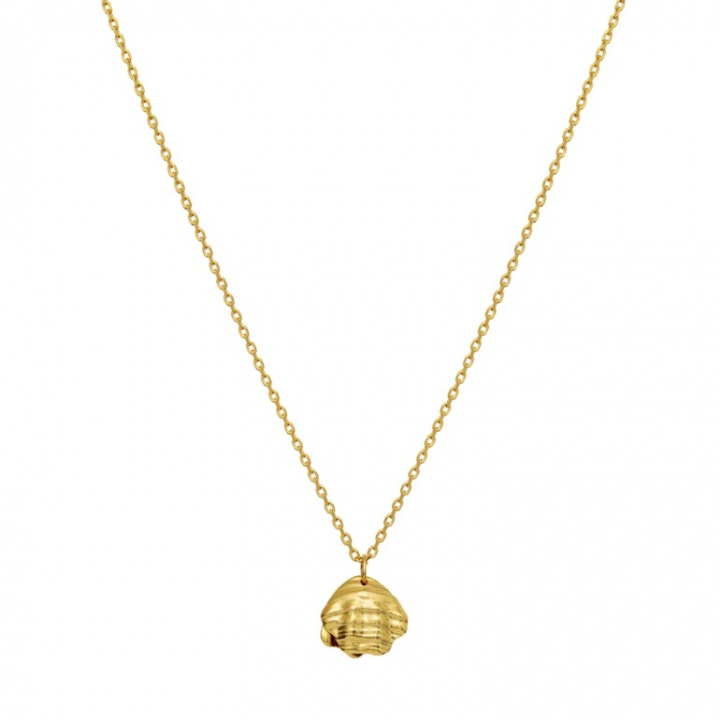 MARNIE Necklace Gold in der Gruppe Halsketten / Goldhalsketten bei SCANDINAVIAN JEWELRY DESIGN (2693A)