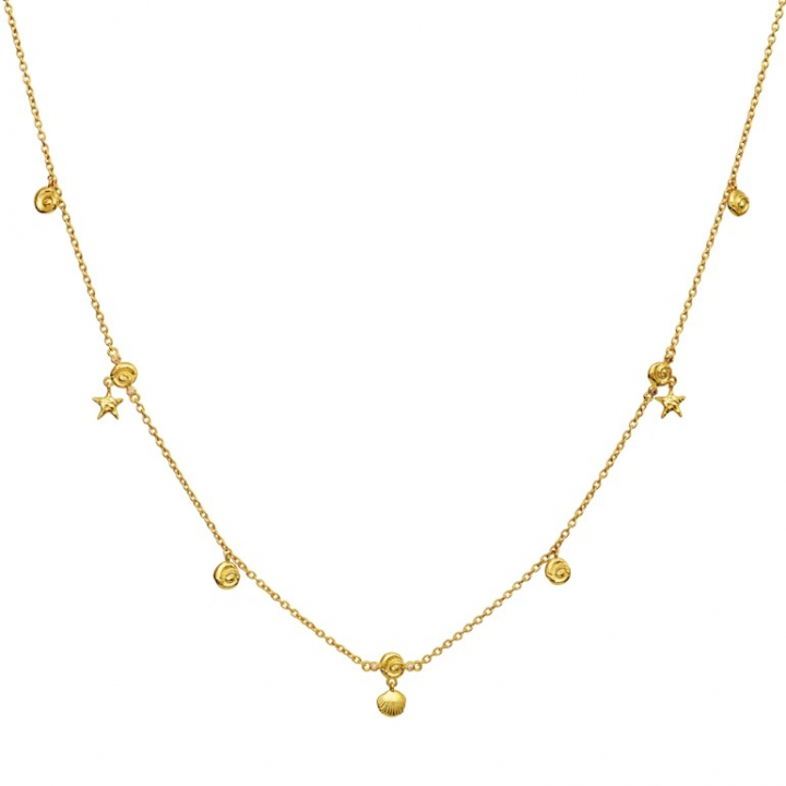 LEILANI Necklace Gold in der Gruppe Halsketten / Goldhalsketten bei SCANDINAVIAN JEWELRY DESIGN (2696A)