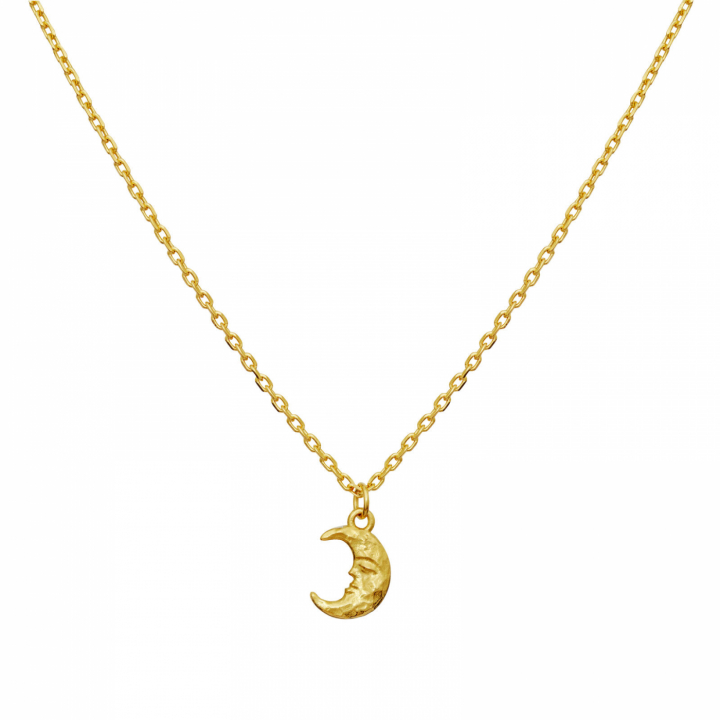 Aila Necklace Gold in der Gruppe Halsketten / Goldhalsketten bei SCANDINAVIAN JEWELRY DESIGN (2805A)