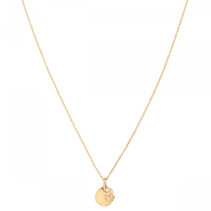 Aspen 50 Necklace Goldplated Silver (One) in der Gruppe Halsketten / Goldhalsketten bei SCANDINAVIAN JEWELRY DESIGN (300460YG-50)