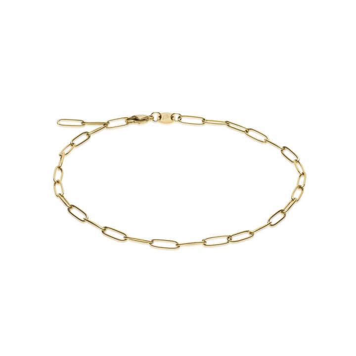 G Link 22-27 cm in der Gruppe Accessoires / Anklet bei SCANDINAVIAN JEWELRY DESIGN (34-23950-00)