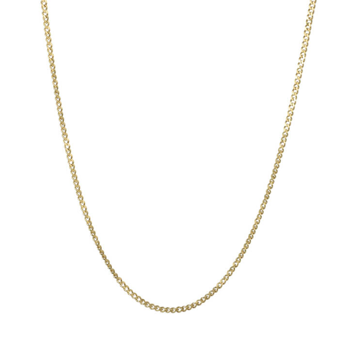 ESKIL Halsketten Gold in der Gruppe Halsketten / Goldhalsketten bei SCANDINAVIAN JEWELRY DESIGN (363454)