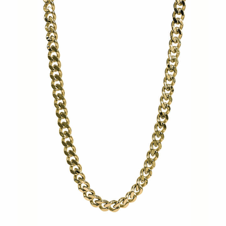DYLAN Halsketten Blankt Gold in der Gruppe Halsketten / Goldhalsketten bei SCANDINAVIAN JEWELRY DESIGN (365045)