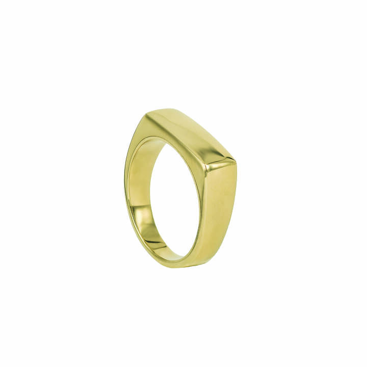 TIM Gold ring in der Gruppe Ringe bei SCANDINAVIAN JEWELRY DESIGN (365359V)