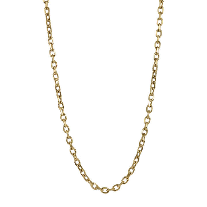 CHARLIE Chain Halsketten Gold in der Gruppe Halsketten / Goldhalsketten bei SCANDINAVIAN JEWELRY DESIGN (365885)