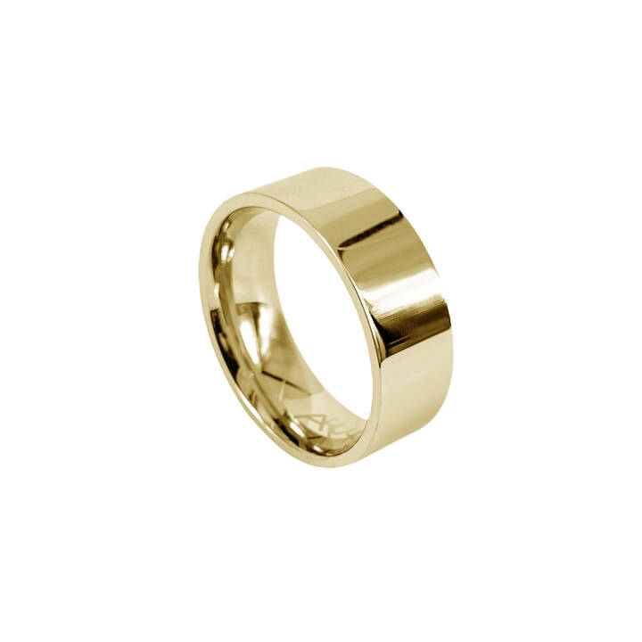 WALTER Blankt Gold ring in der Gruppe Ringe bei SCANDINAVIAN JEWELRY DESIGN (365960V)