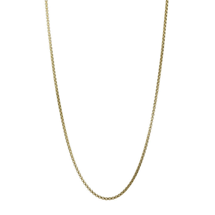 LESTER Halsketten Gold in der Gruppe Halsketten / Goldhalsketten bei SCANDINAVIAN JEWELRY DESIGN (366035)
