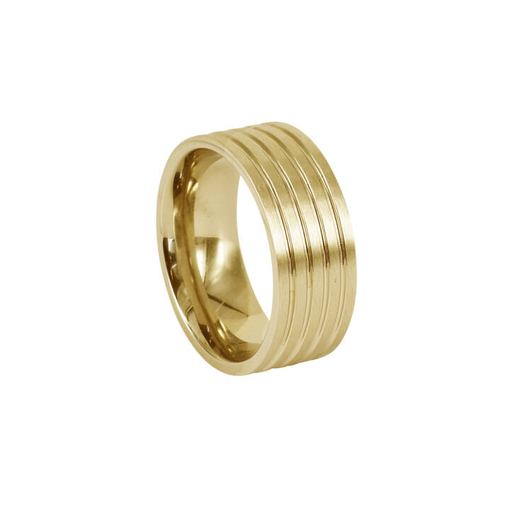 DAVE Gold ring in der Gruppe Ringe bei SCANDINAVIAN JEWELRY DESIGN (366080V)
