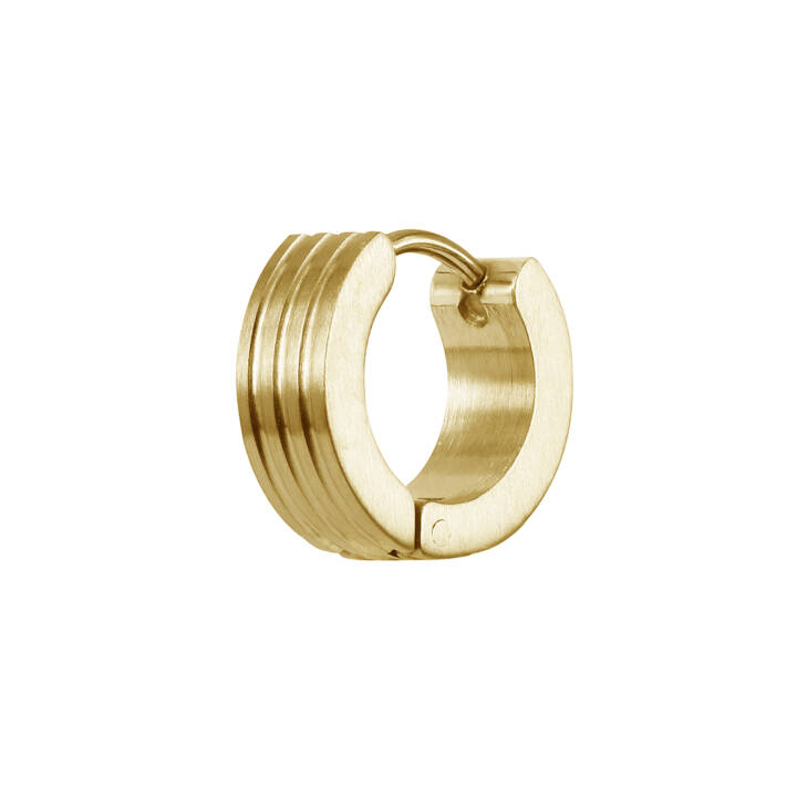 DAVE Ohrringe Gold in der Gruppe Ohrringe / Goldohrringe bei SCANDINAVIAN JEWELRY DESIGN (366257)