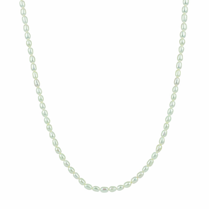 PRINCE Halsketten Stahl in der Gruppe Halsketten / Silberhalsketten bei SCANDINAVIAN JEWELRY DESIGN (366608)