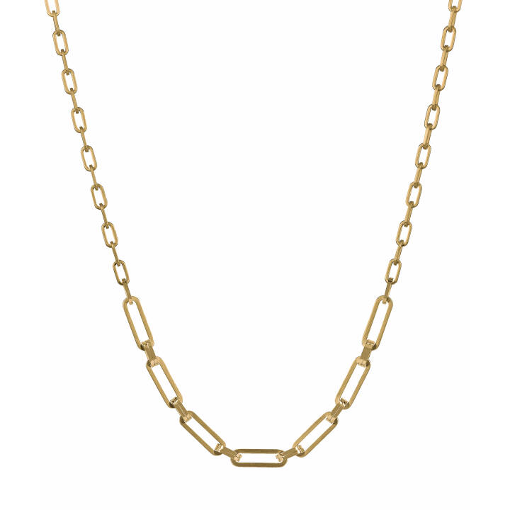 BENJAMIN Single Halsketten Gold in der Gruppe Halsketten / Goldhalsketten bei SCANDINAVIAN JEWELRY DESIGN (367049)