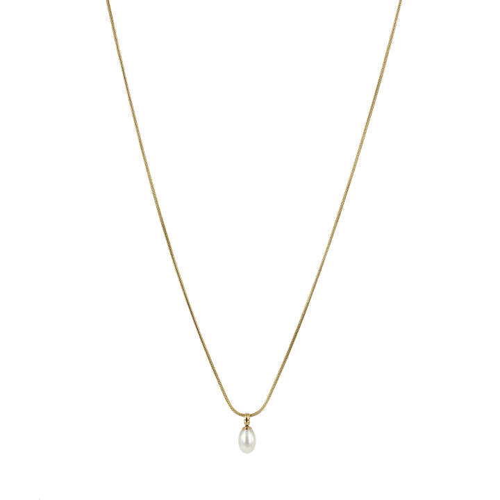 PALMA Single Short Halsketten Gold in der Gruppe Halsketten / Goldhalsketten bei SCANDINAVIAN JEWELRY DESIGN (370230)
